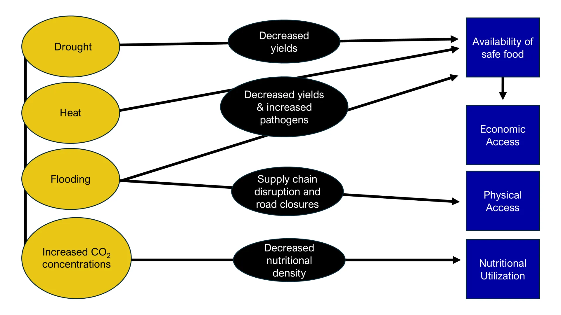 This diagram shows how climate-related changes (drought, heat, flooding, and increased atmospheric carbon dioxide) can impact the four primary components of food  security: availability of safe food, economic access, physical access, and nutritional utilization.