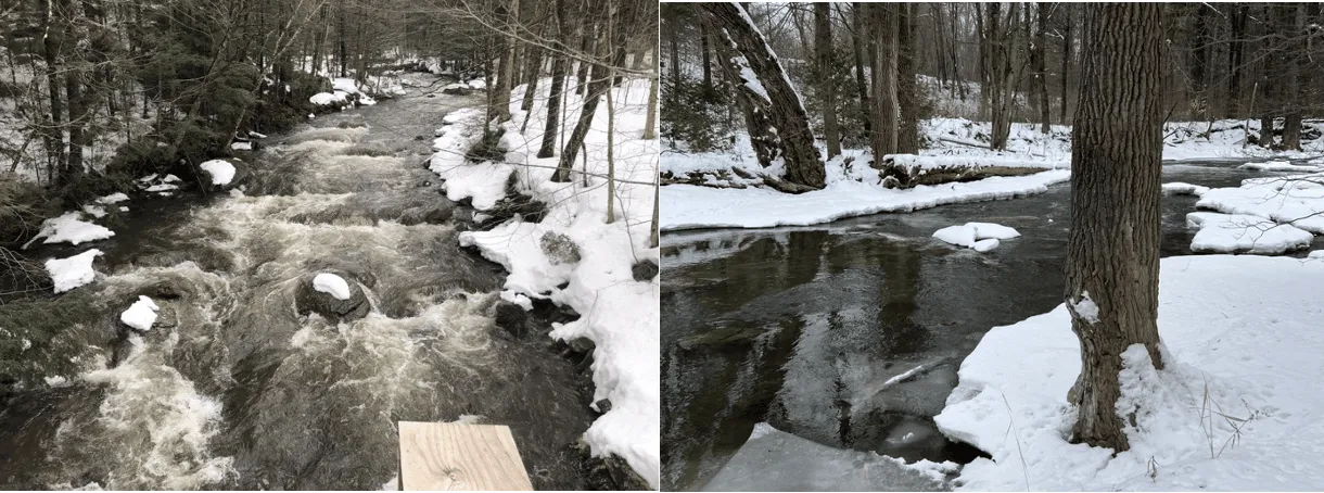 Image on the left: Winter flooding at Mill Brook on January 2023. ; Image on the right: Winter flooding at Wade Brook in April 2023.
