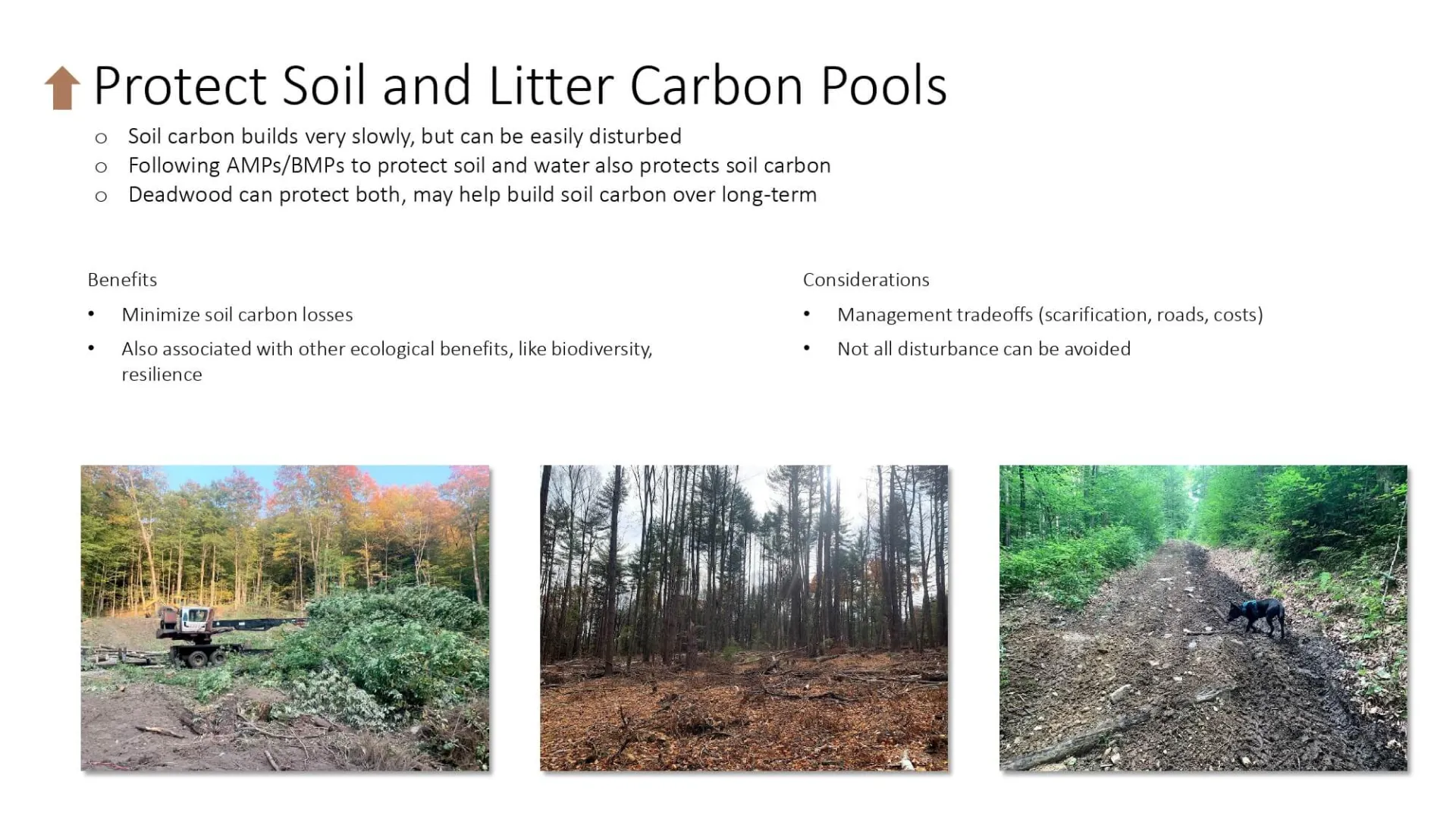 Protect Soil and Litter Carbon Pools slide