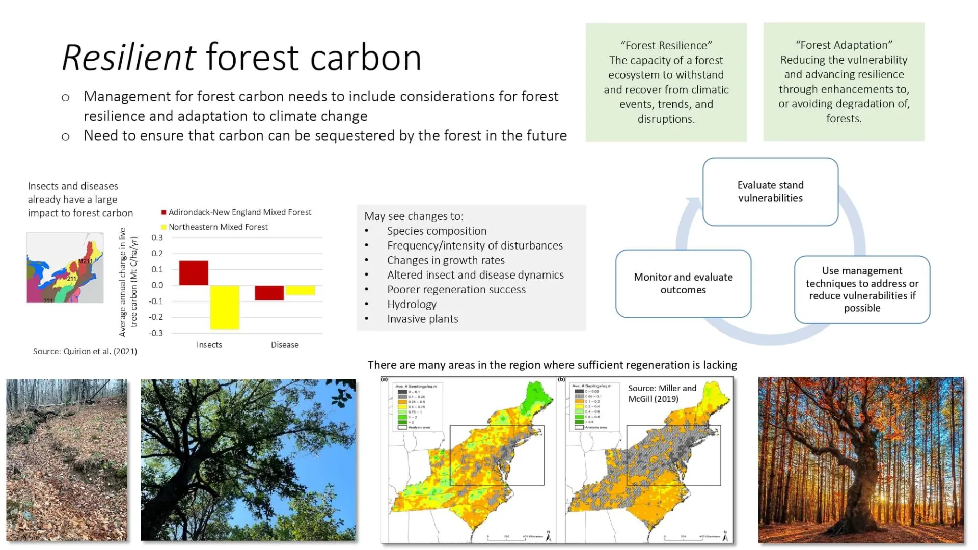 image of forest resilience slide