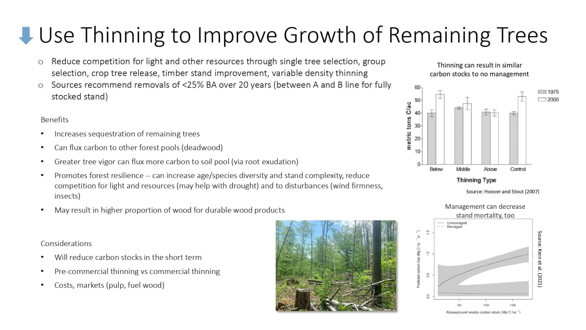 Use Thinning to Improve Growth of Remaining Trees slide
