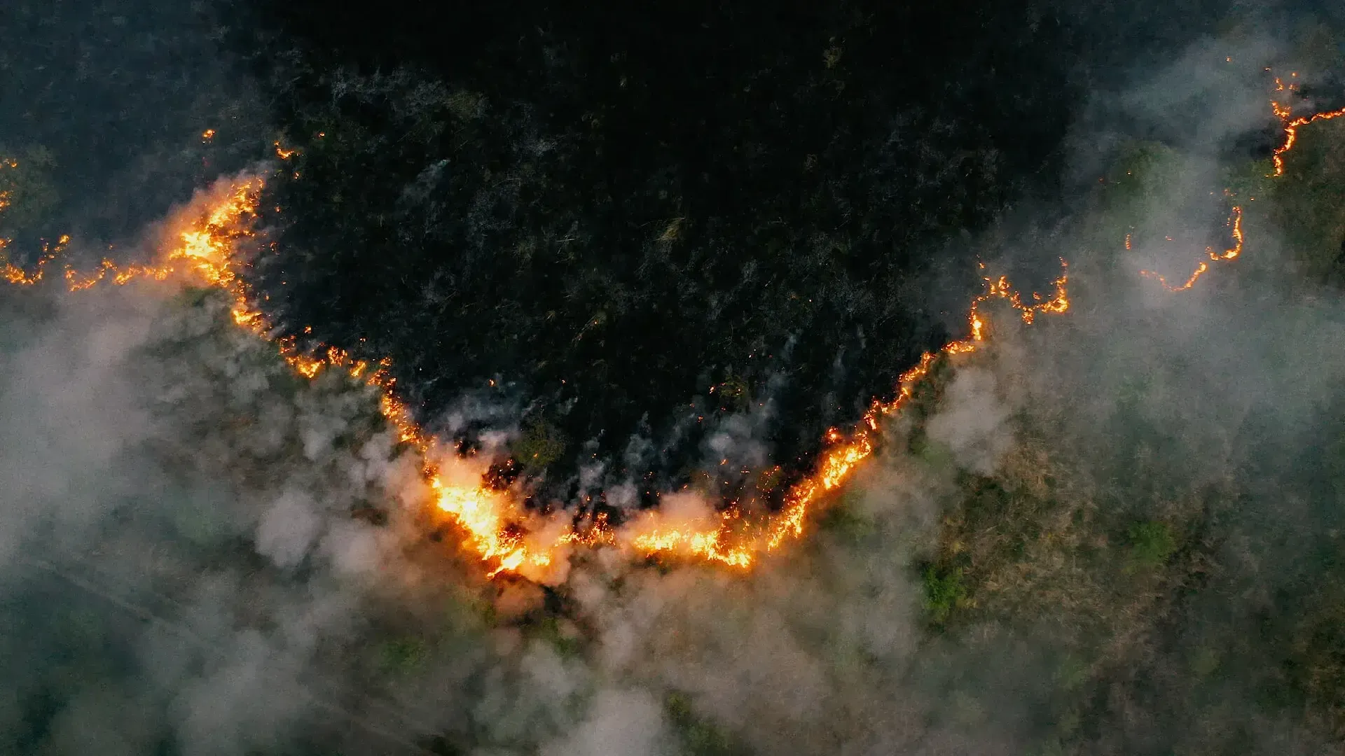 A line of burning wildfire seen from above