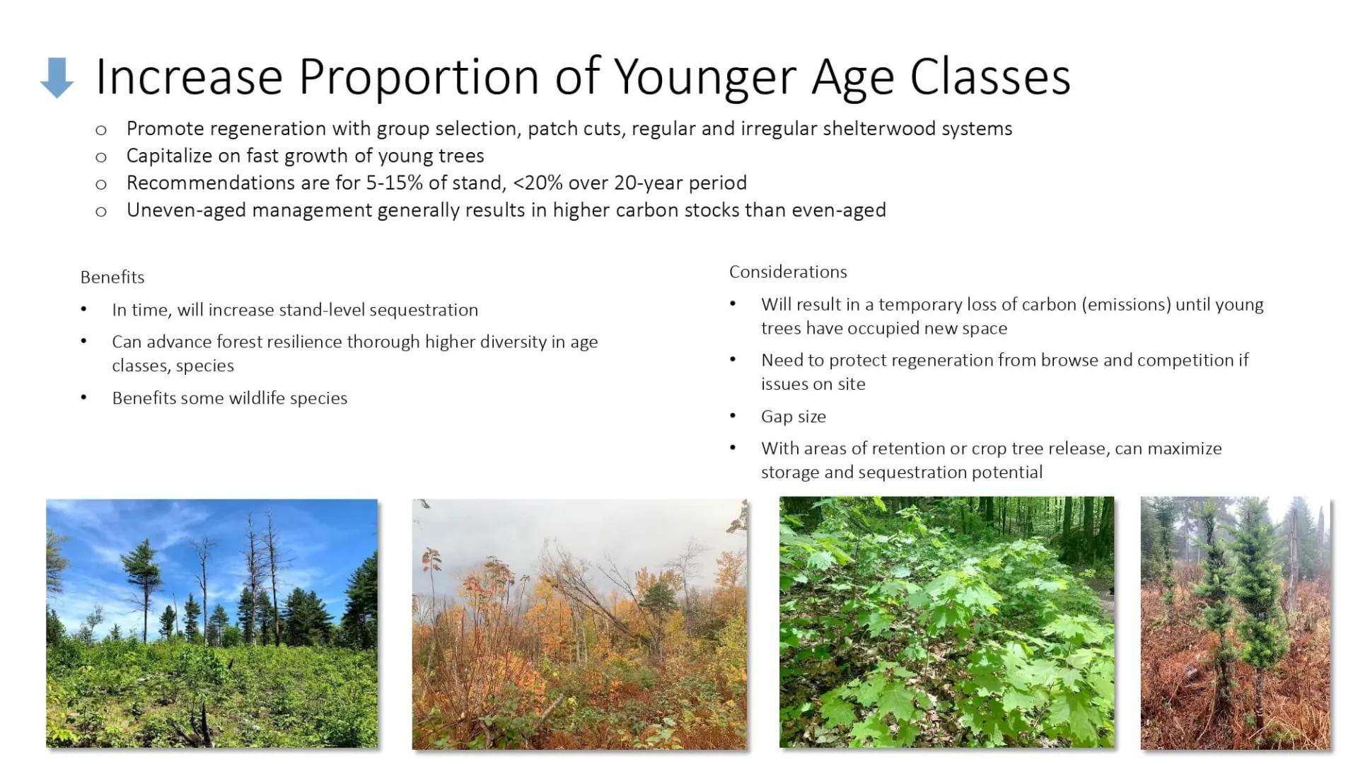 Increase Proportion of Younger Age Classes slide