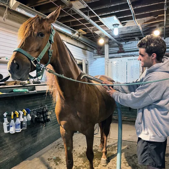 Anthony Protomastro with a horse