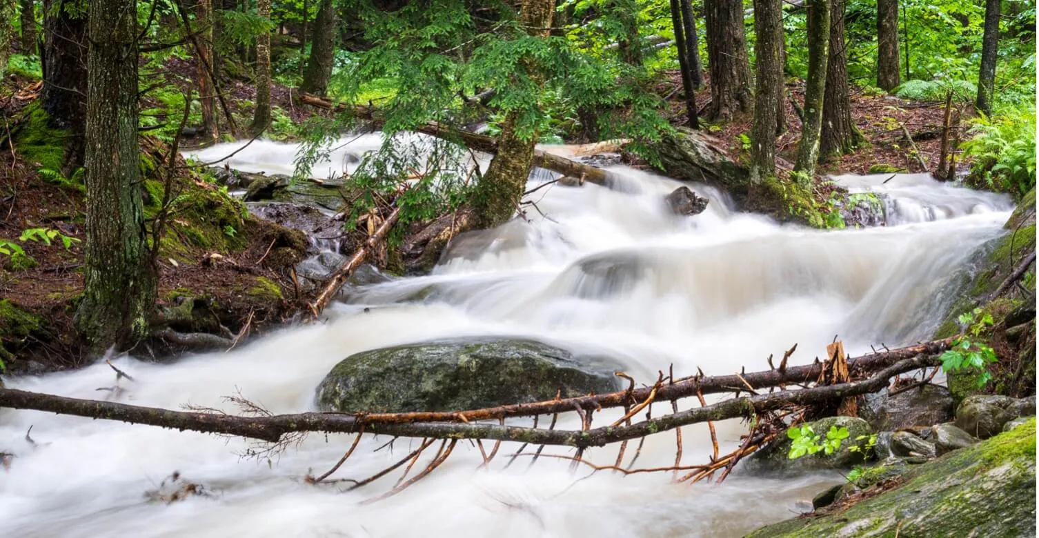Photograph of Miller's Brook in Stowe, Vermont during July 2023 flooding. The stream appears to be fast-flowing with white, frothy water moving around rocks and fallen branches. The stream is within a forest with dense green trees and moss-covered rocks surrounding it.