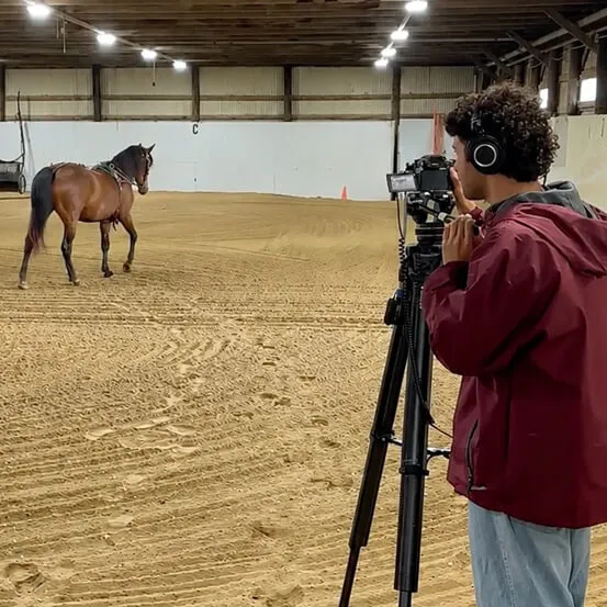 Henri Zamanian filming a horse