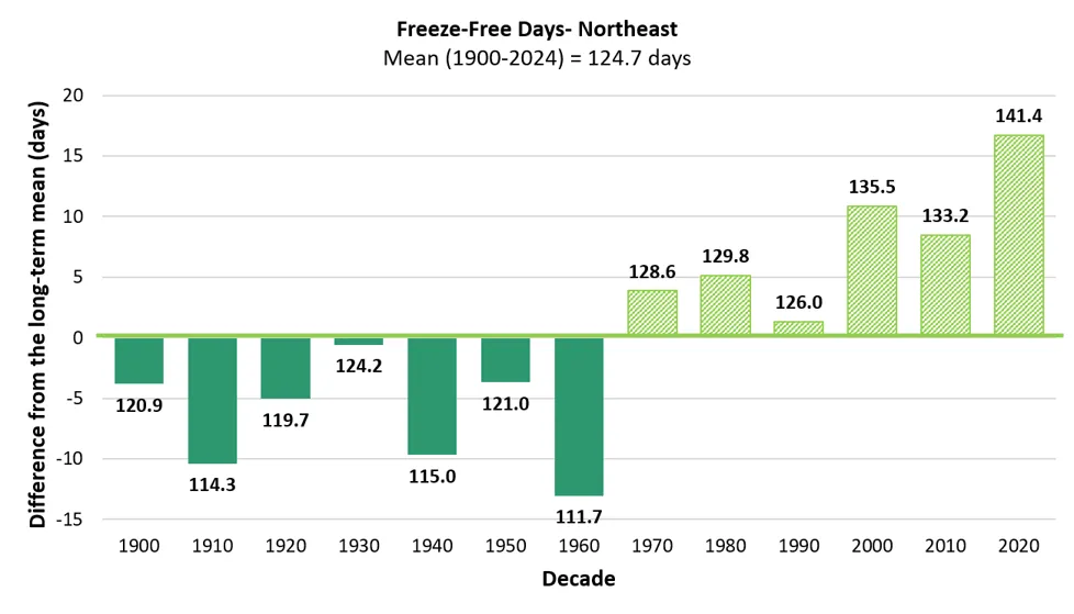 Bar chart showing average freeze-free length in days across decades from 1900 to 2024 in the Northeast climate division, with values fluctuating below and above 120 days. Notable increase occurs from 1970-1979 onward, peaking at 141.4 days in 2020-2024, with the last bar marked as partial data.