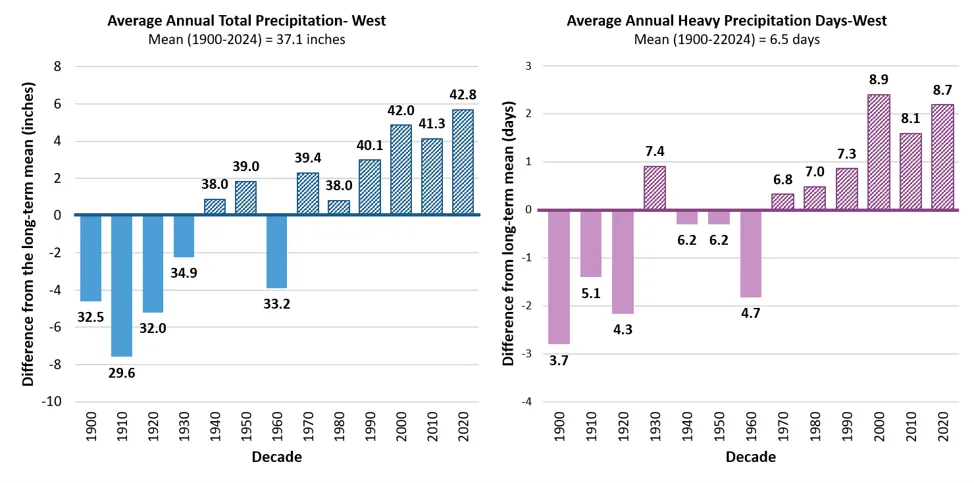 Two bar charts compare average annual total precipitation and heavy precipitation days in the western climate division from 1900 to 2024, showing increases in both total rainfall (up to 42.8 inches in 2020-2024) and heavy precipitation days (up to 8.9 days) with bars colored solid for negative and hatched for positive differences from long-term means. The left chart highlights a rising trend in total precipitation since 1980, while the right chart shows a notable increase in heavy precipitation days after 1