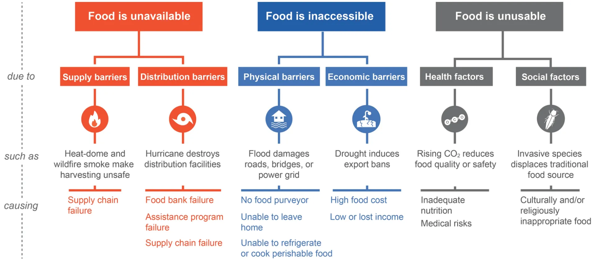 This color-coded causal diagram explains food insecurity through three pathways: food unavailable, food inaccessible, and food unusable. Red, blue, and gray branches link supply, distribution, physical, economic, health, and social barriers to examples such as climate disasters, high costs, inadequate nutrition, invasive species, and culturally inappropriate food.
