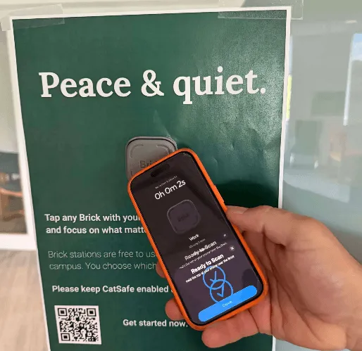 person holding a cellphone 