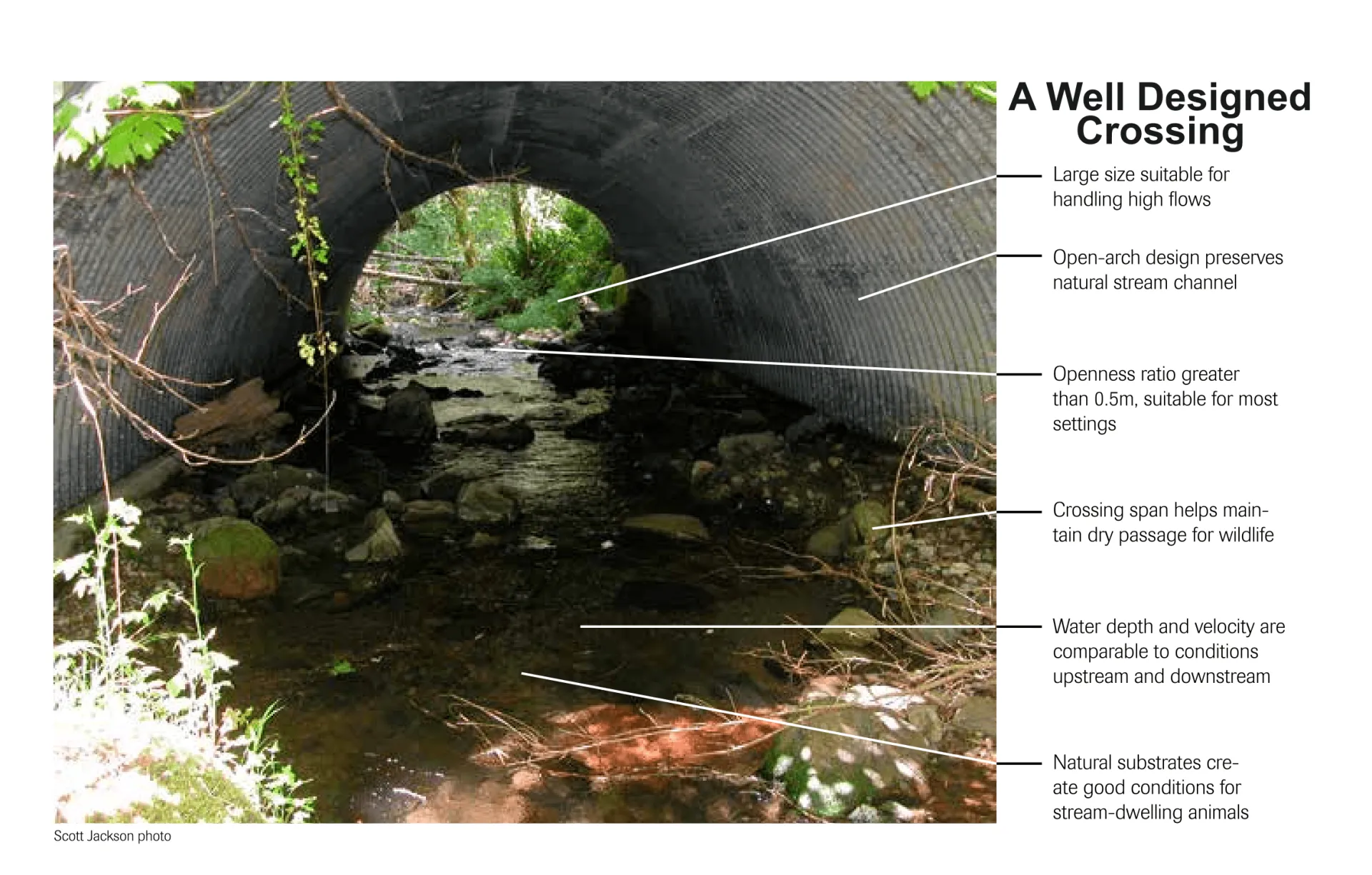 A photograph of a well-designed culvert with a stream running through it. Next to the photograph is a list of attributes of a well-designed stream crossing, including sizing (for high flow), width (with dry banks on both sides to allow wildlife crossing, and natural substrates for stream ecology.