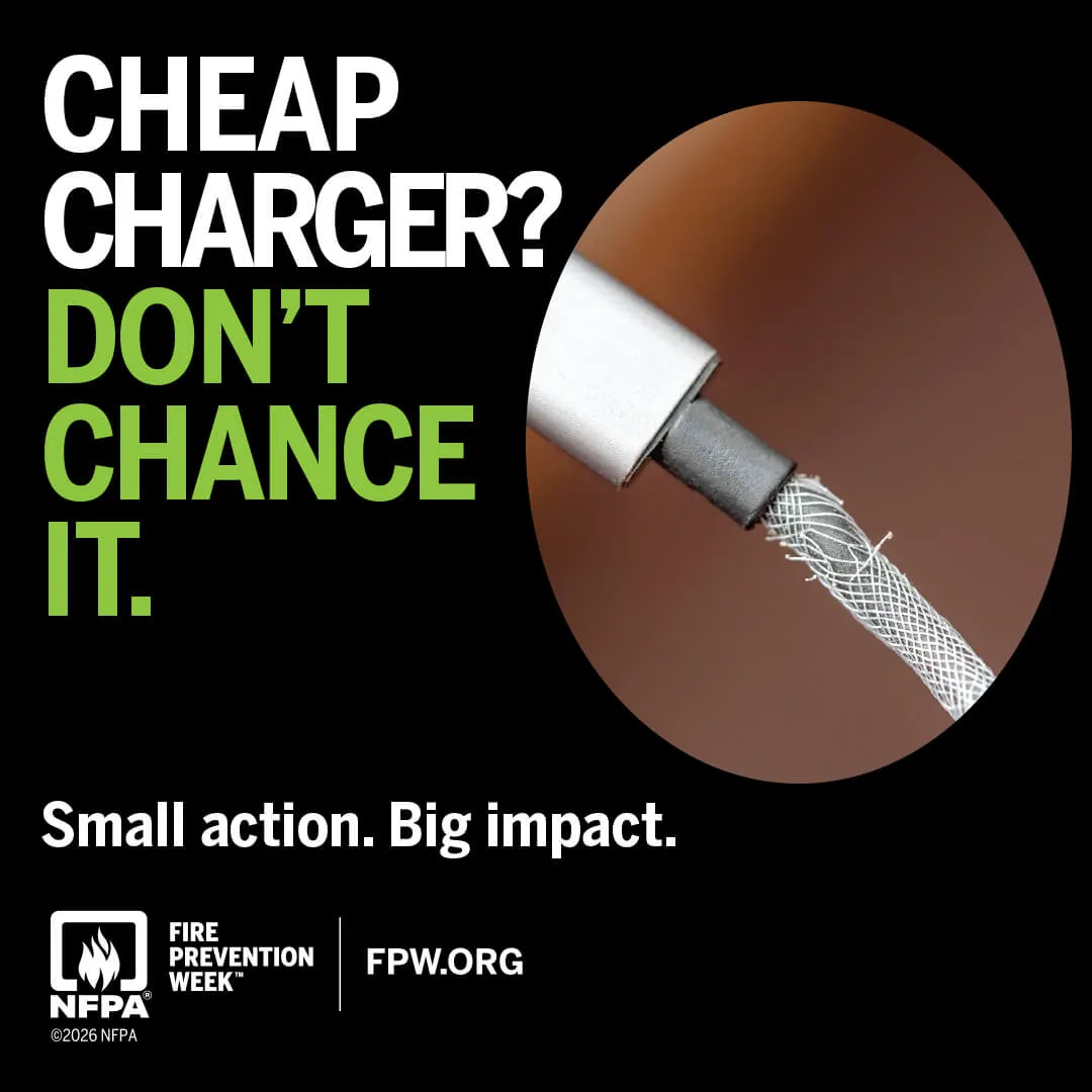 Cheap charger? Don't chance it.
