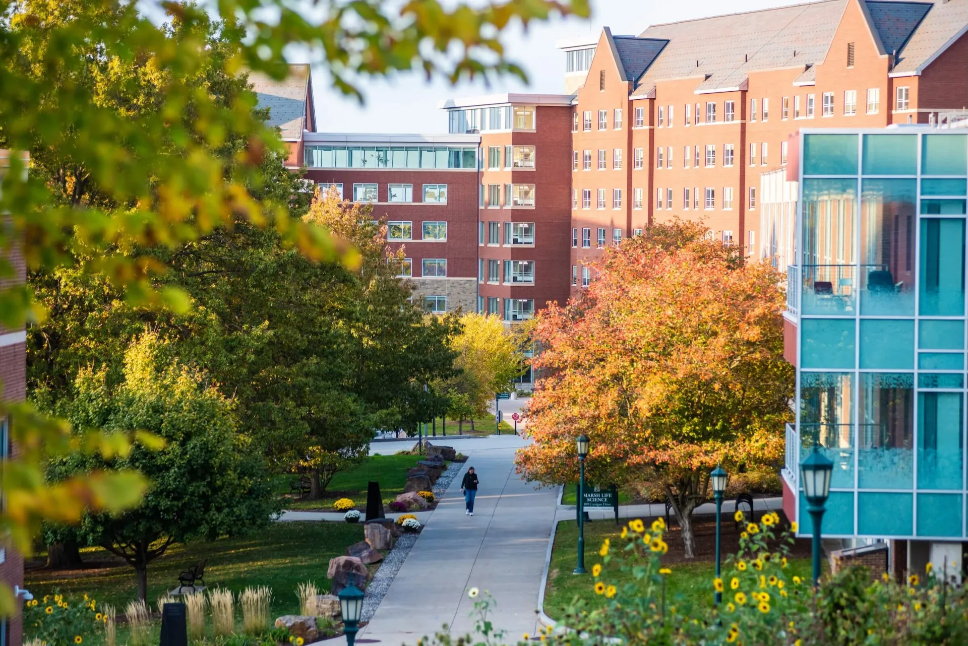 A view of campus in the autumn.