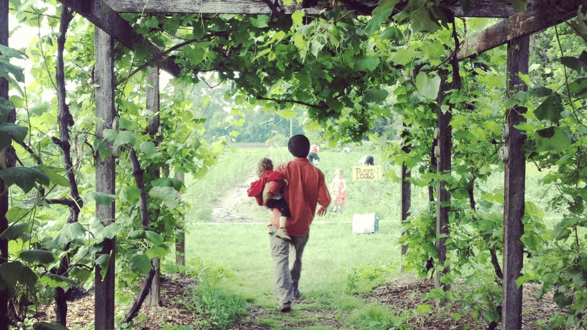 Person and child walking through a trellis of vines onto a community farm