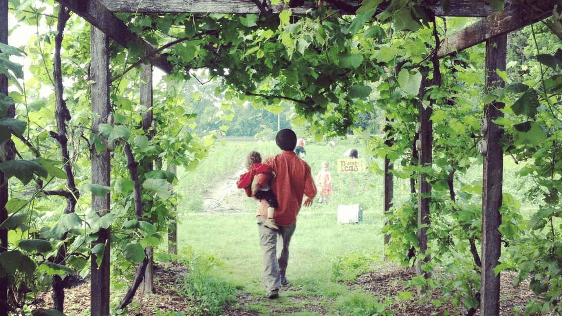 Person and child walking through a trellis of vines onto a community farm