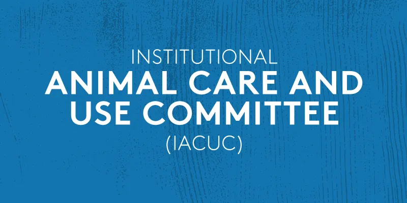 Institutional Animal Care and Use Committee