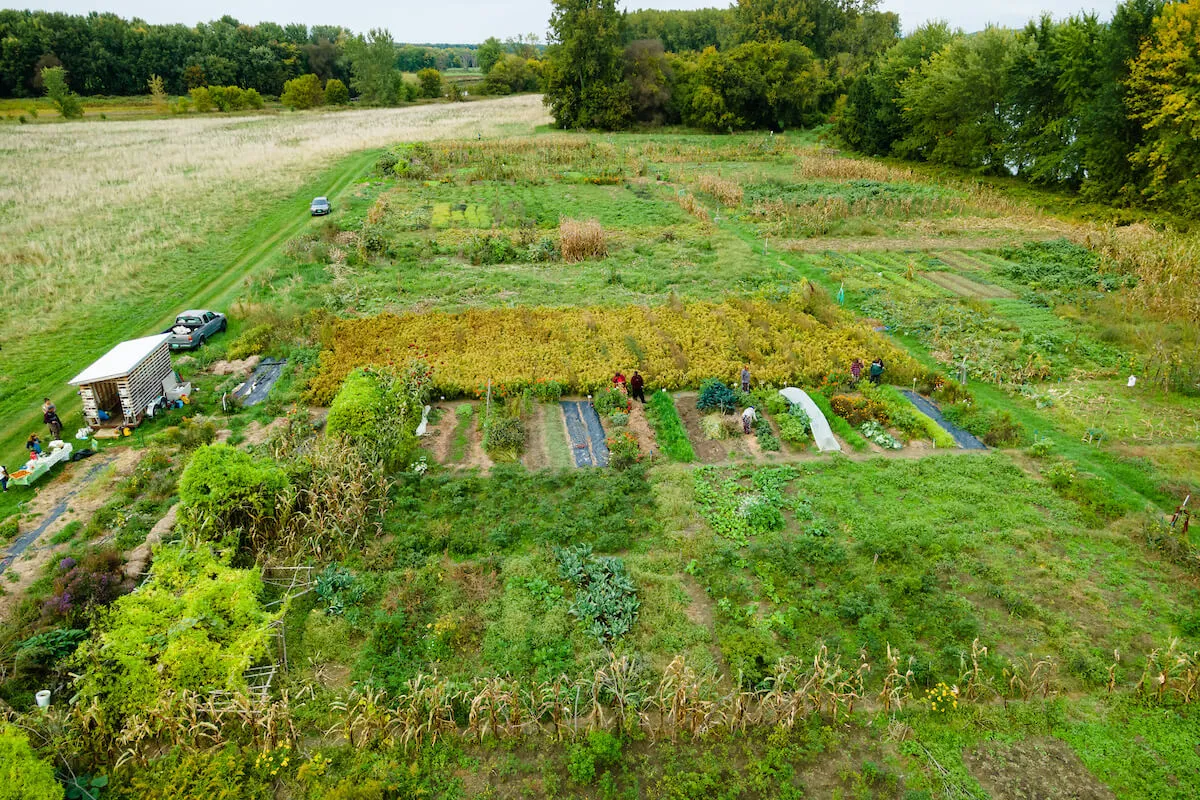 An aerial view of a farm. 