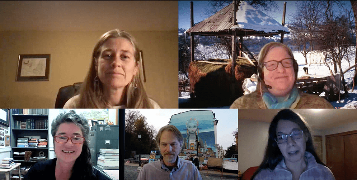Windows showing participants in the video chat