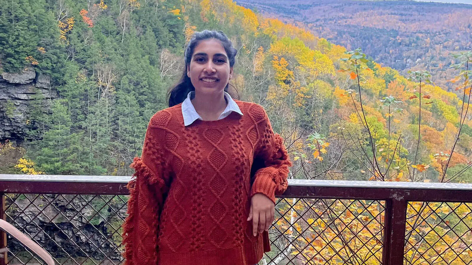 New PhD student Niharika Singh will be joining Professor David Jangraw's Glass Brain Lab this coming fall.