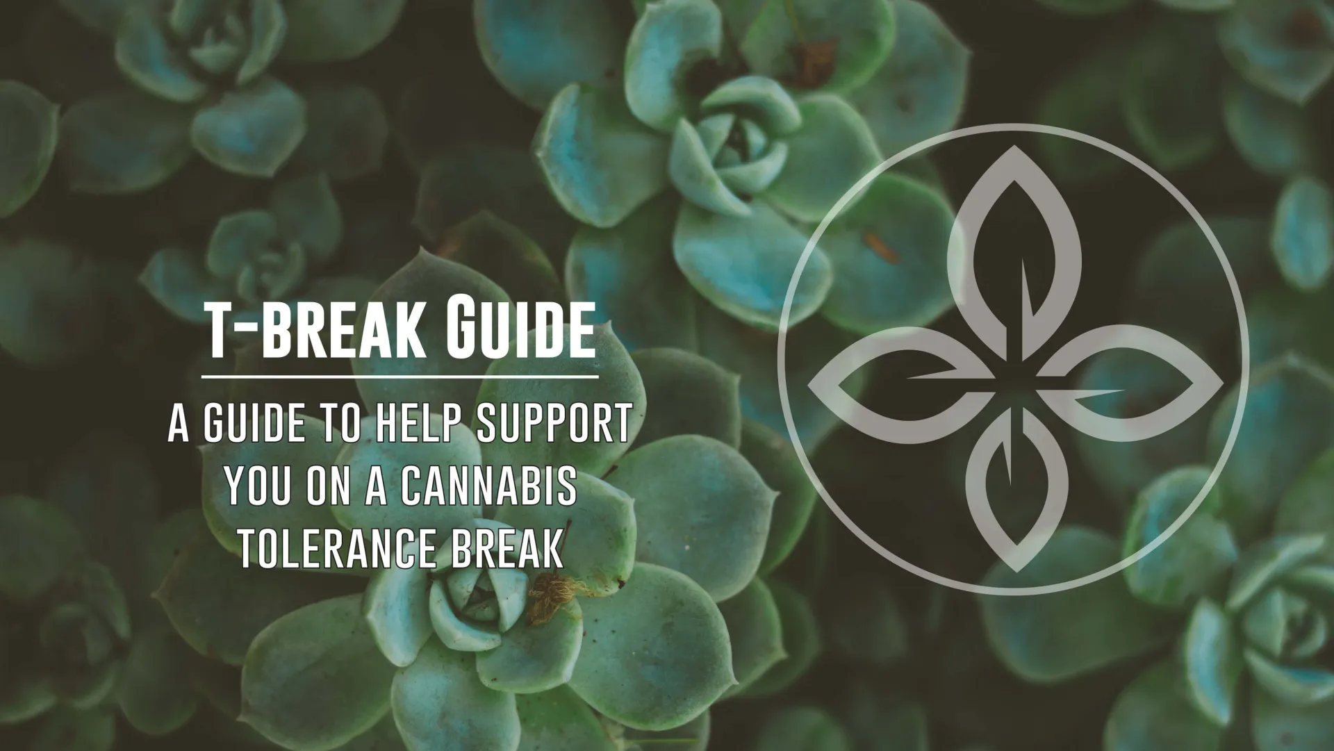 A graphic showing the words "T-Break Guide" in white text over a photo of dark green succulent plants. An icon of a four-leafed flower is on the right.