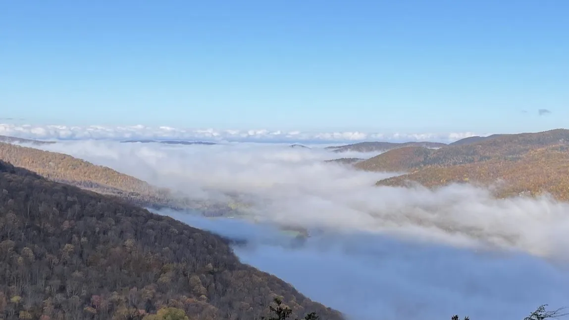 An image of forested mountains with a white cloud through the valley between them