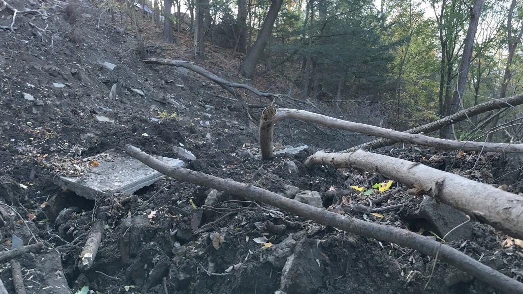 Trees are broken on a dirt hillside, with rocks and/or chunks of concrete mixed into the dirt