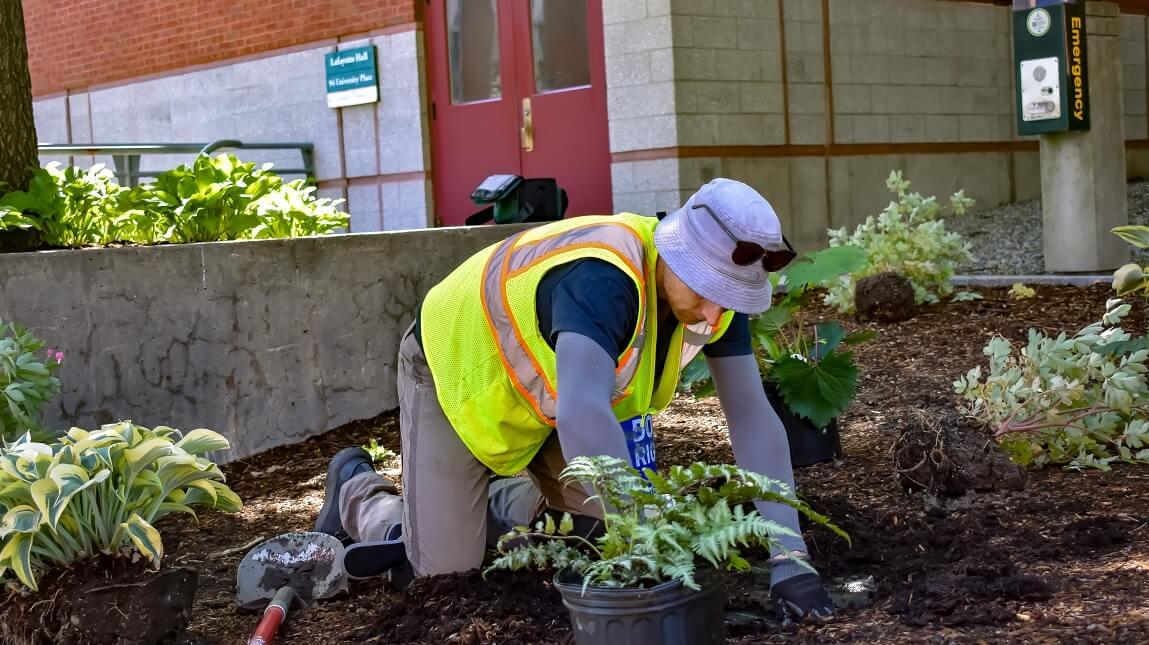 A person in a neon yellow reflective vest and a hat kneels on the ground in a garden bed, surrounded by plants