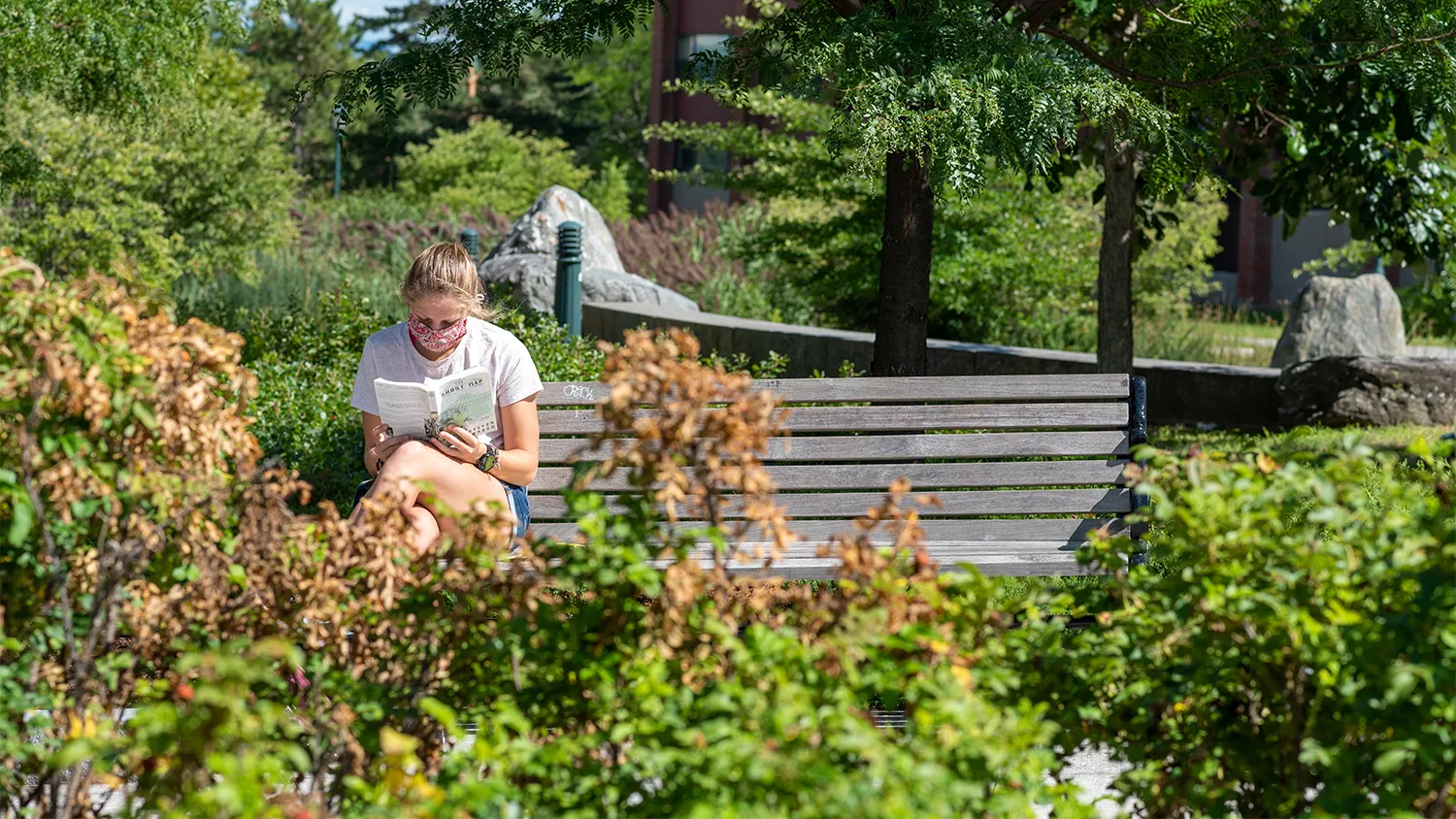 A young woman wearing a face mask reads on a park bench