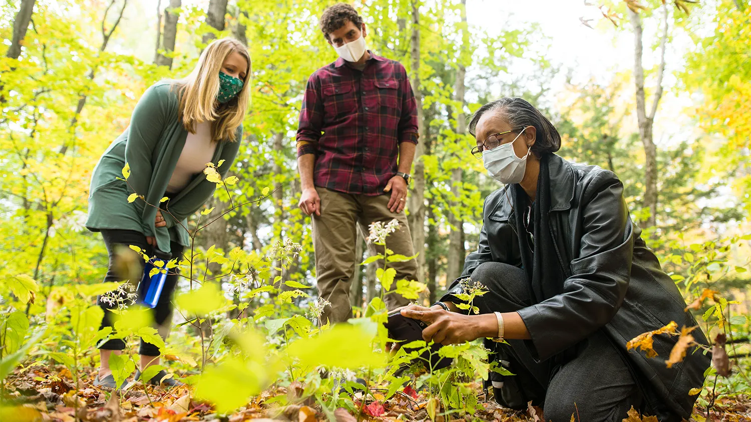 Lesley-Ann Dupigny-Giroux examines foliage while Gillian Galford and Joshua Faulkner look on