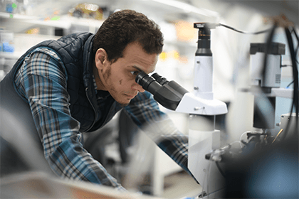 Osama Harraz, Ph.D., assistant professor of pharmacology, leaning over a microscope in a lab