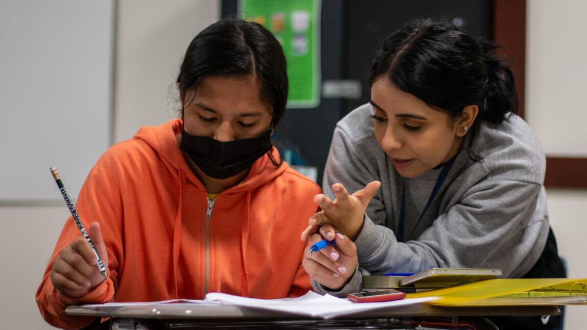Student and mentor working