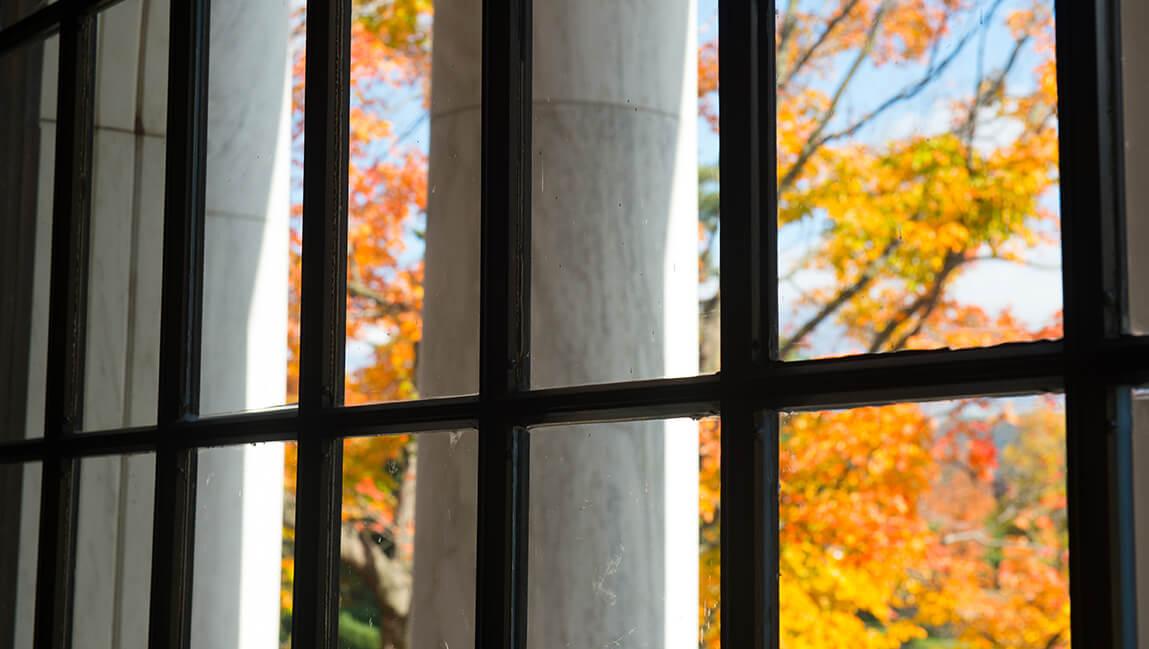 view of fall leaves through window in waterman building 