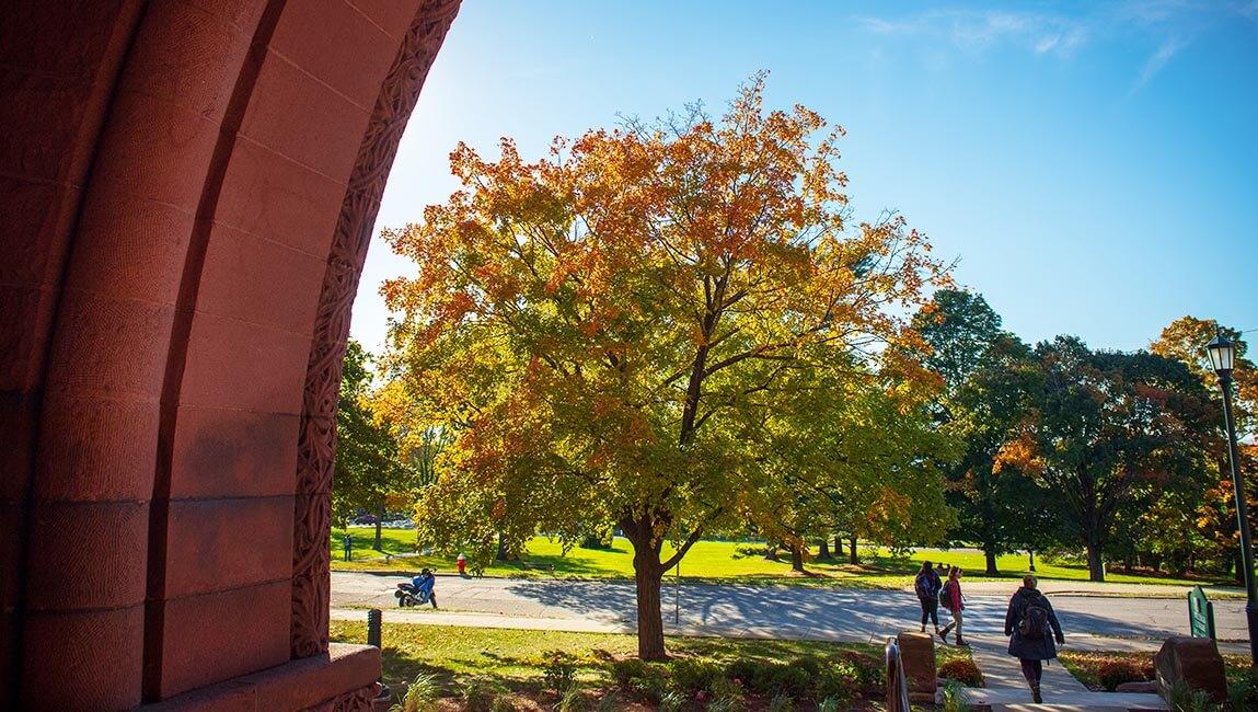 view from front of billngs library in fall