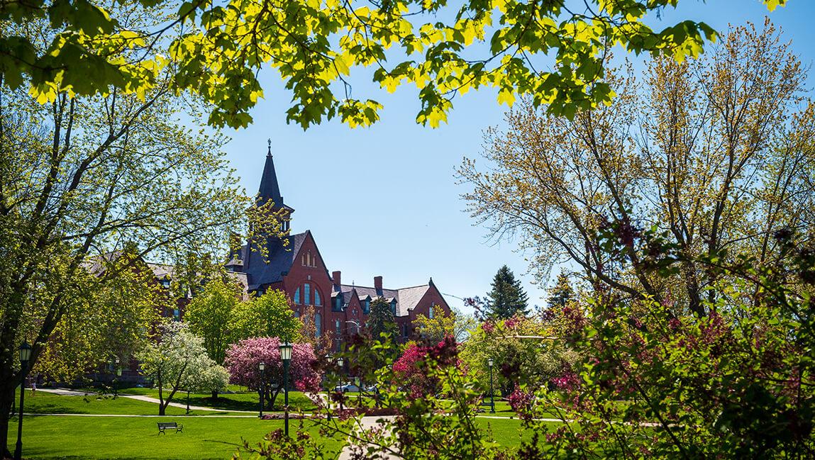 campus green in spring
