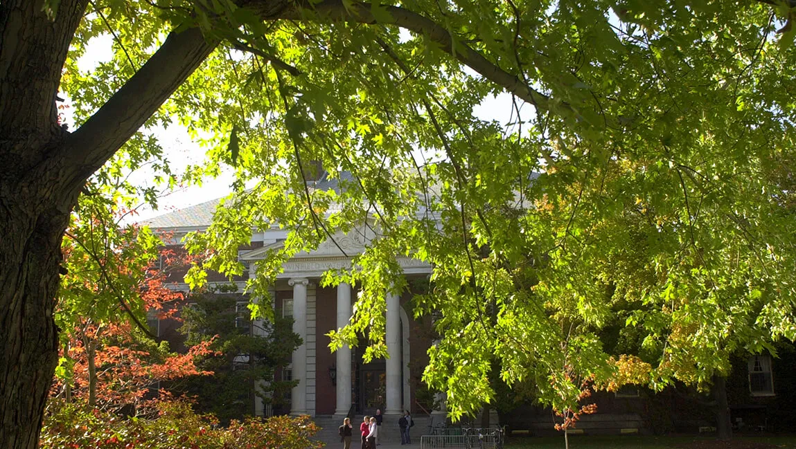 maple tree in front of waterman building
