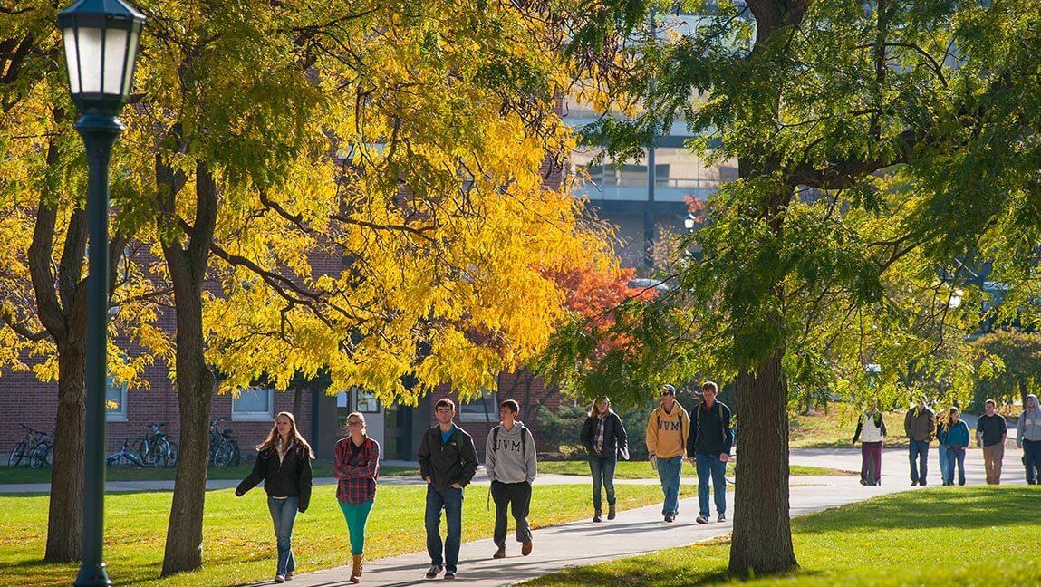 students walking on campus near trees outside fleming museum