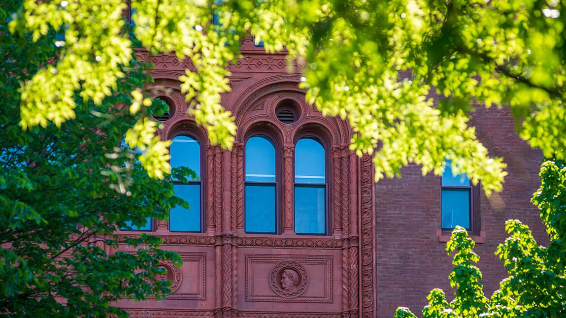lush green tree branches in front of campus building