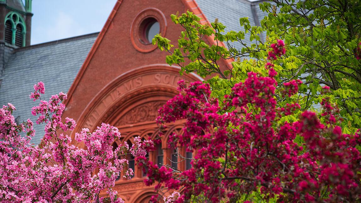 spring pink blossoms in front of campus building