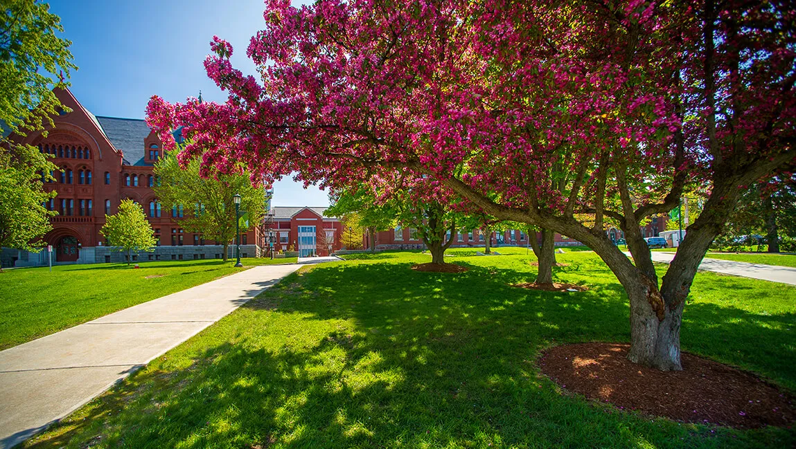 spring campus 