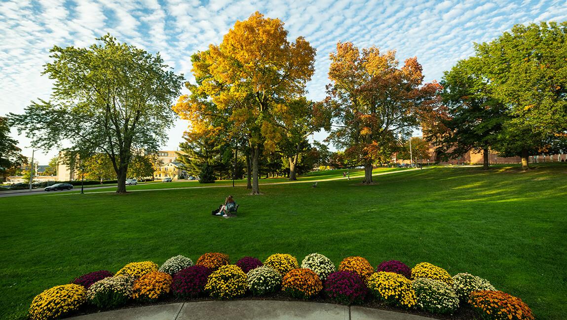 fall campus mums
