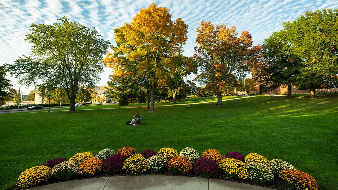 colorful mums around the fountain on the green in fall