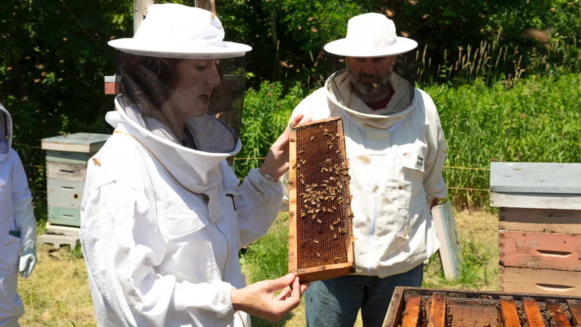 Samantha Algers inspects a beehive frame