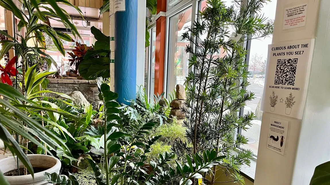 An image of plants growing in the Aiken Center solarium with an informational sign.
