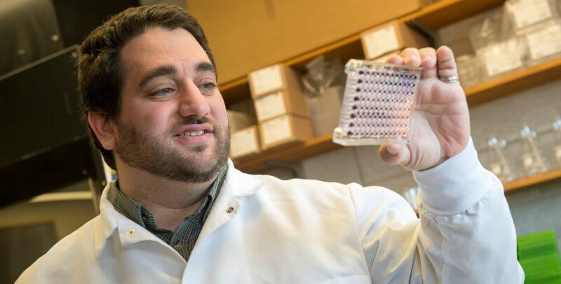 Professor Eyal Amiel working in his laboratory.
