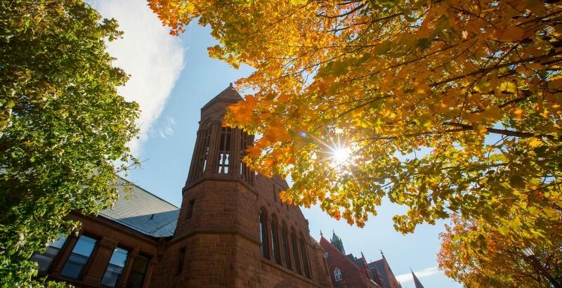 UVM campus rooftops above the canopy of autumn leaves.