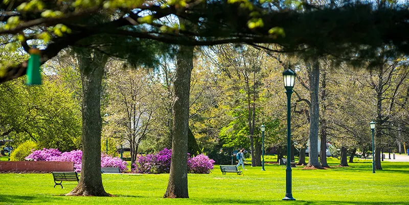 UVM Campus in spring