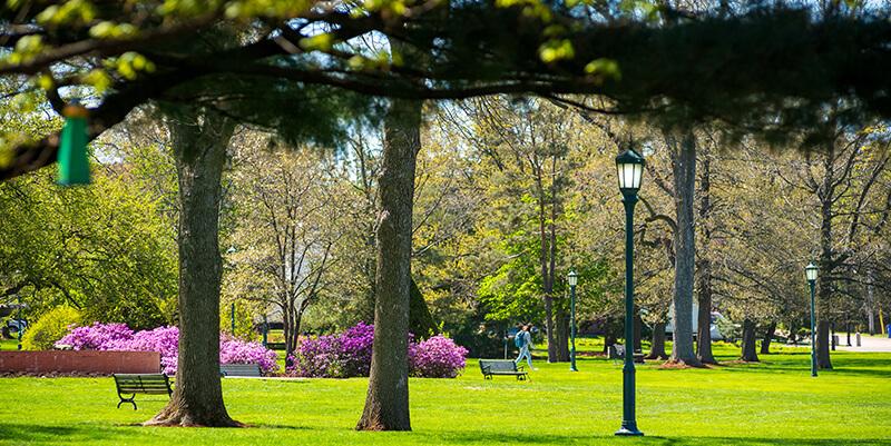 UVM Campus in spring