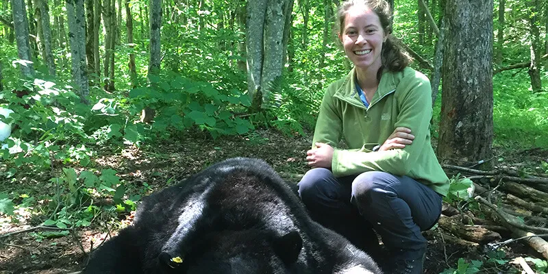 Student in woods with sedated black bear