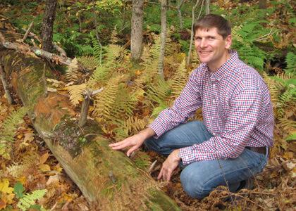 Associate Professor Anthony D'Amato at Harvard Forest
