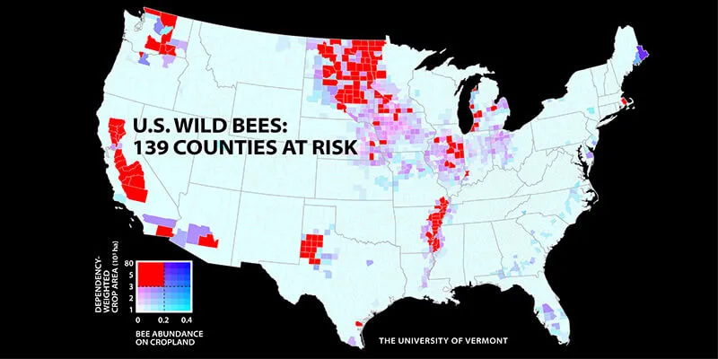 Map: wild bees at risk